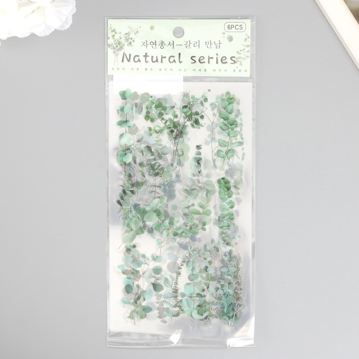 Наклейки пластик "Эвкалипт" набор 6 листов 10х18 см