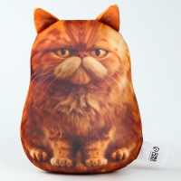 Игрушка антистресс "Рыжий кот"