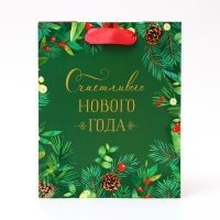 Пакет подарочный "Счастливого Нового года", 18 х 22,3 х 10 см