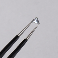 Заклёпки для ногтей, объёмные, 12 ячеек, цвет серебристый голографический