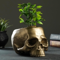 Кашпо - органайзер "Череп" бронза, 0,2 л/19х14х12см