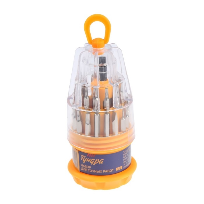 Набор для точных работ ТУНДРА, CrV, держатель с битами, в кейсе, 31 предмет