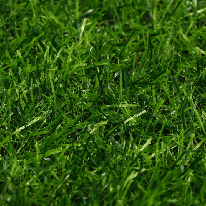 Газон искусственный, ворс 20 мм, 2 × 5 м, тёмно-зелёный, Greengo Газон искусственный, ворс 20 мм, 2 × 5 м, тёмно-зелёный, Greengo