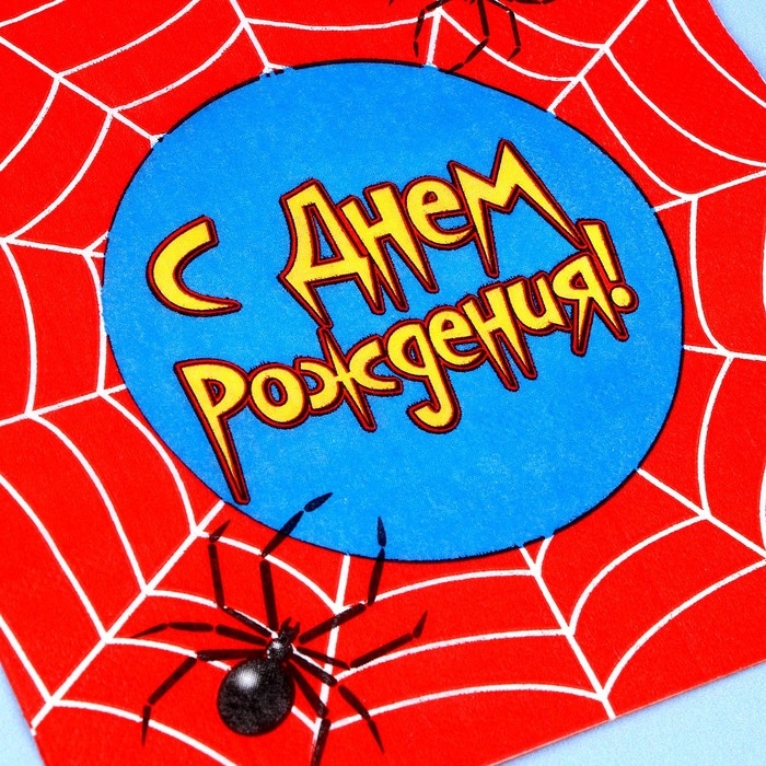 Набор для праздника &laquo;С днём рождения. Паутина&raquo;