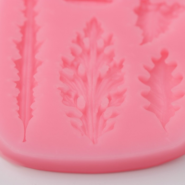 Молд Доляна &laquo;Гербарий&raquo;, силикон, 9,5&times;8&times;0,8 см, цвет МИКС