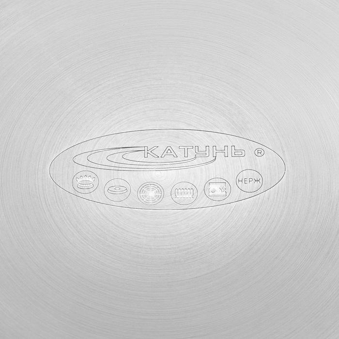 Кастрюля &laquo;Общепит. Шеф&raquo;, 6 л, d=28 см, h=10,3 см, капсульное дно, индукция