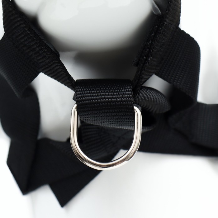 Недоуздок-намордник для собак строгий, размер XL, ОM 23-34 см, ОШ 20-28 см, черный Недоуздок-намордник для собак строгий, размер XL, ОM 23-34 см, ОШ 20-28 см, черный