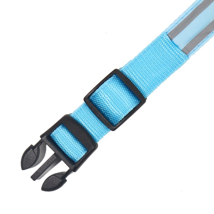 Ошейник с подсветкой Двойная полоса размер S, ОШ 35-43 х 2,5 см, 3 режима свечения голубой Ошейник с подсветкой Двойная полоса размер S, ОШ 35-43 х 2,5 см, 3 режима свечения голубой