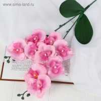 Цветы искусственные "Орхидея Фаленопсис мультифлора" 6х37 см, розовый микс Цветы искусственные "Орхидея Фаленопсис мультифлора" 6х37 см, розовый микс