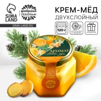 Мёд кремовый двухслойный &laquo;Аромат нового года&raquo; с апельсином и имбирем, 120 г