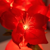 Ночник "Пуансеттия" 9хLED 4000К красный 15х15х40см RISALUX