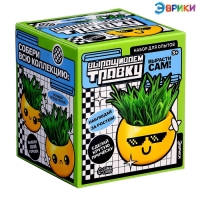 Набор для опытов, для детей «Выращиваем травку», растение в горшочке - эмодзи «Крутой» Набор для опытов, для детей «Выращиваем травку», растение в горшочке - эмодзи «Крутой»