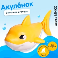 Заводная игрушка водоплавающая «Акулёнок», цвета МИКС Заводная игрушка водоплавающая «Акулёнок», цвета МИКС