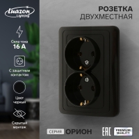 Розетка двухместная Luazon Lighting "Орион", 16 А, скрытая, с з/к, черная Розетка двухместная Luazon Lighting "Орион", 16 А, скрытая, с з/к, черная