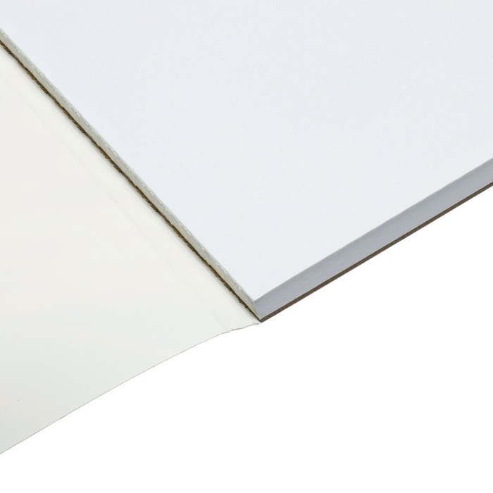 Альбом для рисования А4, 60 листов на склейке "Погоня", обложка мелованный картон, твёрдая подложка, блок офсет 100г/м2