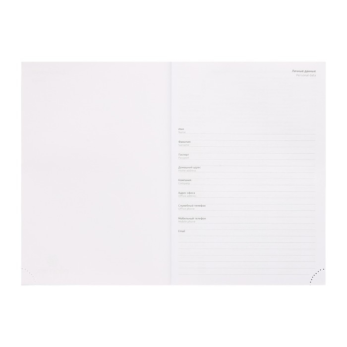 Ежедневник недатированный A5 160 листов Attomex.Visa, твёрдая обложка из искусственной кожи с поролоном, блок 70 г/м2, синий