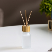 Диффузор ароматический "Сочная дыня" 10 мл Диффузор ароматический "Сочная дыня" 10 мл