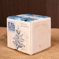 Набор для выращивания &laquo;Экокуб&raquo;, ель голубая