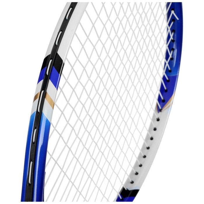 Ракетка для большого тенниса тренировочная, в чехле, цвет синий