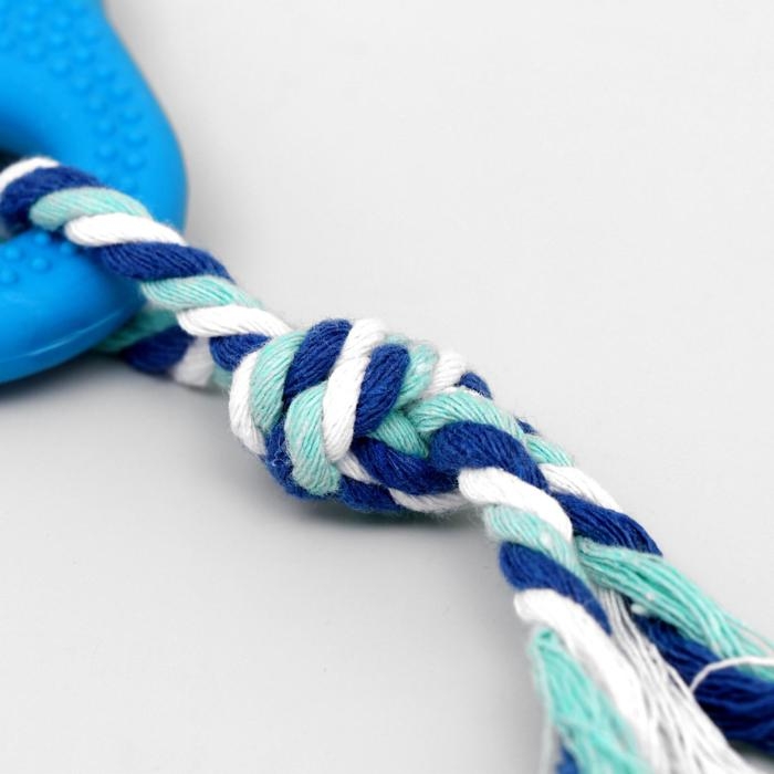 Игрушка жевательная с канатом для собак Игрушка жевательная с канатом для собак "Ладошка", 10 см, голубая