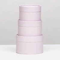 Набор шляпных коробок 3 в 1,"Пастельный",16 х 10,14 х 9,13 х 8,5 см Набор шляпных коробок 3 в 1,"Пастельный",16 х 10,14 х 9,13 х 8,5 см