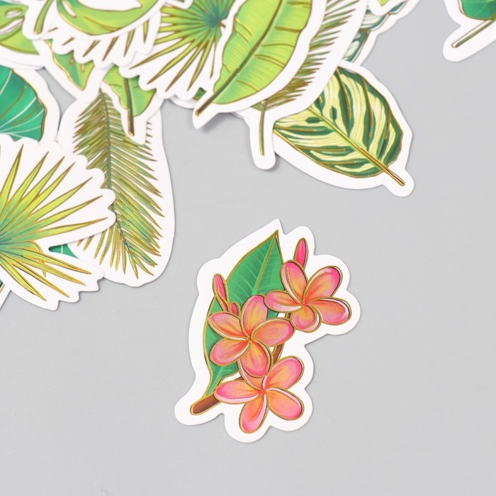 Наклейки для творчества Наклейки для творчества "Экзотические листья" тиснение золото набор 48 шт 9х7х0,8 см