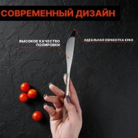 Ножи столовые из нержавеющей стали Доляна Sentiment, длина 23 см, 6 шт, цвет серебряный Ножи столовые из нержавеющей стали Доляна Sentiment, длина 23 см, 6 шт, цвет серебряный