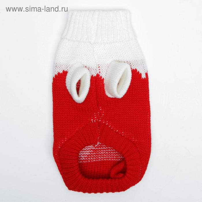 Свитер, размер 8 (26-30 см), микс расцветок