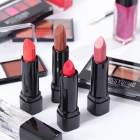 Набор профессиональной косметики"Miss Young" №10 Набор профессиональной косметики"Miss Young" №10