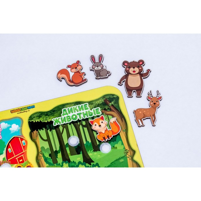 Сортер &laquo;Какая разница? Домашние и дикие животные&raquo;, на липучках, детали: 4 см