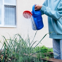 Лейка, 8 л, с рассеивателем, носик d = 35 мм, цвет МИКС Лейка, 8 л, с рассеивателем, носик d = 35 мм, цвет МИКС