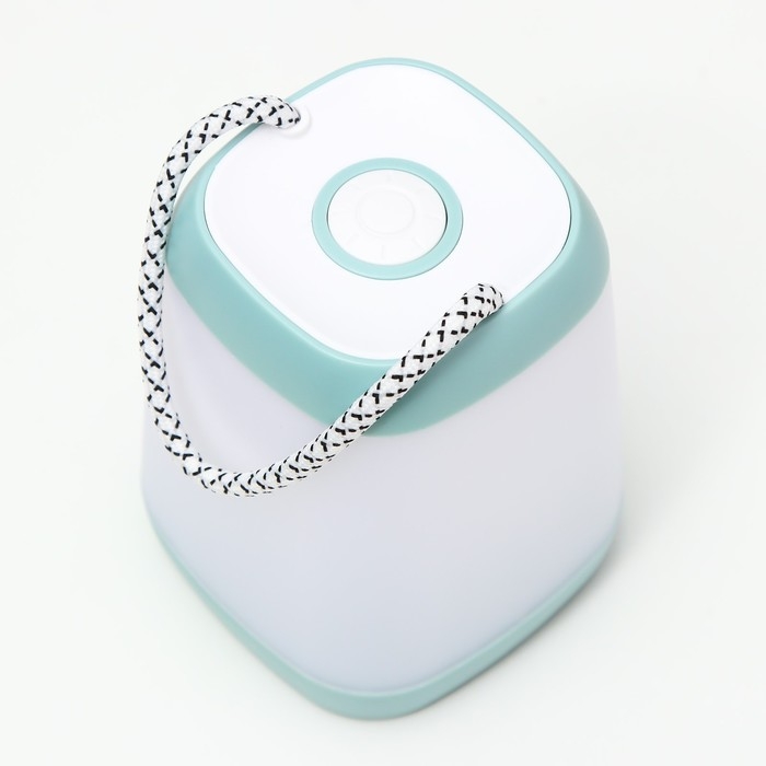 Ночник Ночник "Навигатор" LED, 3Вт, 3 режима, 3ААА голубой 9х7х2,5 см RISALUX