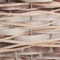 Кашпо &laquo;Цветы&raquo;, с ручкой, бежевое, 24х15х9/15 см