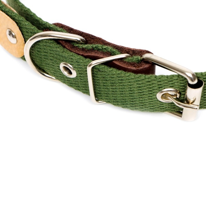 Ошейник брезентовый однослойный, 60,5 х 2,5 см, ОШ 30-55 см, тёмно-зелёный Ошейник брезентовый однослойный, 60,5 х 2,5 см, ОШ 30-55 см, тёмно-зелёный