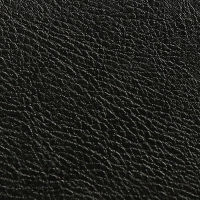 Планинг датированный 2025 года, ESCALADA, 76 листов, на гребне, интегральная обложка, искуственная кожа, тиснение фольгой, блок 70, чёрный, 310 х115мм