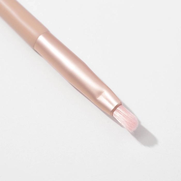 Набор кистей для макияжа «Самой стильной», 5 шт Набор кистей для макияжа «Самой стильной», 5 шт