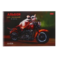 Альбом для рисования А4, 30 листов на гребне "Узнай себя!", обложка мелованный картон, перфорация, блок 100 г/м2, МИКС