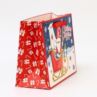 Пакет ламинированный &laquo;На санях&raquo;, MS 23 &times; 18 &times; 10 см