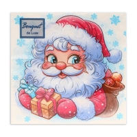 Новогодние салфетки бумажные Bouquet de Luxe &laquo;Морозко&raquo;, 3 слоя, 24х24 см, 25 шт.