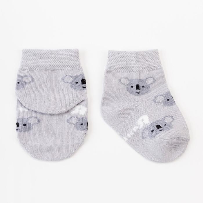 Набор носков Крошка Я &laquo;Коала&raquo;, 2 пары, 8-10