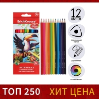 Карандаши 12 цветов ErichKrause ArtBerry премиум, дерево, трехгранные, 3.0 мм грифель, картонная упаковка, европодвес Карандаши 12 цветов ErichKrause ArtBerry премиум, дерево, трехгранные, 3.0 мм грифель, картонная упаковка, европодвес