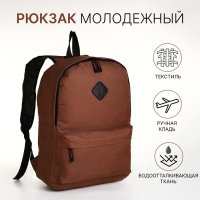 Рюкзак школьный на молнии, наружный карман, цвет коричневый Рюкзак школьный на молнии, наружный карман, цвет коричневый
