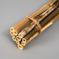 Декоративный бамбук 40 см, 10 шт Декоративный бамбук 40 см, 10 шт