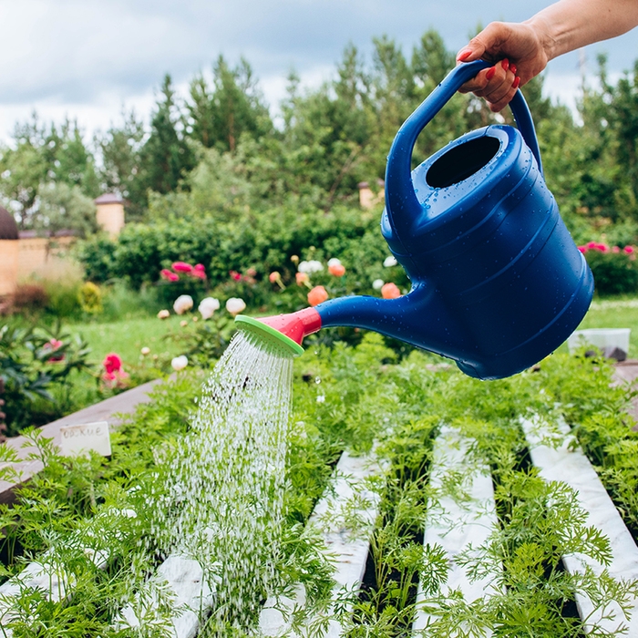 Лейка, 10 л, с рассеивателем, носик d = 35 мм, цвет МИКС, &laquo;Классика&raquo;