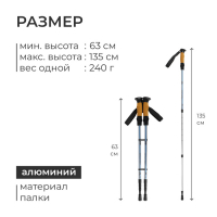 Палки для скандинавской ходьбы ONLITOP, телескопические, 3 секции, до 135 см, 2 шт., цвет МИКС Палки для скандинавской ходьбы ONLITOP, телескопические, 3 секции, до 135 см, 2 шт., цвет МИКС