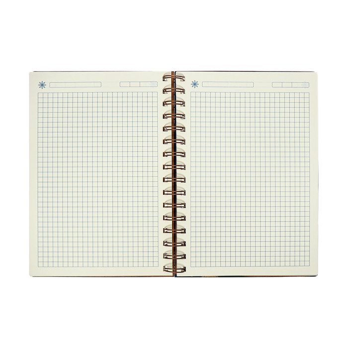 Органайзер на гребне, А5, 80л, клетка, обл.кожзам, с хлястиком, синий Органайзер на гребне, А5, 80л, клетка, обл.кожзам, с хлястиком, синий