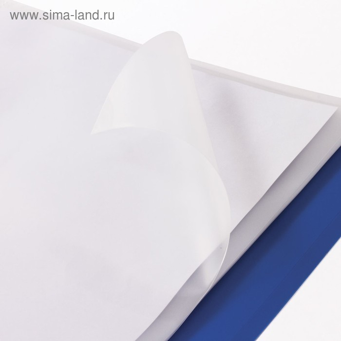 Файл-вкладыш А4, 110 мкм, BRAUBERG, плотный, вертикальный, 50 штук Файл-вкладыш А4, 110 мкм, BRAUBERG, плотный, вертикальный, 50 штук