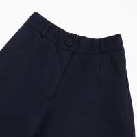 Брюки школьные для девочек, цвет тёмно-синий, рост 170 см Брюки школьные для девочек, цвет тёмно-синий, рост 170 см