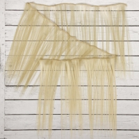 Волосы - тресс для кукол «Прямые» длина волос: 25 см, ширина: 100 см, цвет № 613 Волосы - тресс для кукол «Прямые» длина волос: 25 см, ширина: 100 см, цвет № 613