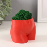 Предмет интерьера "Невинный вид" высота 7см, ширина 8,5см красный со мхом (мох зелен. стаб 1041209 Предмет интерьера "Невинный вид" высота 7см, ширина 8,5см красный со мхом (мох зелен. стаб 1041209